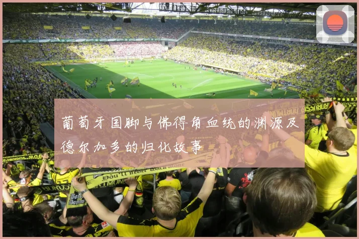 葡萄牙国脚与佛得角血统的渊源及德尔加多的归化故事