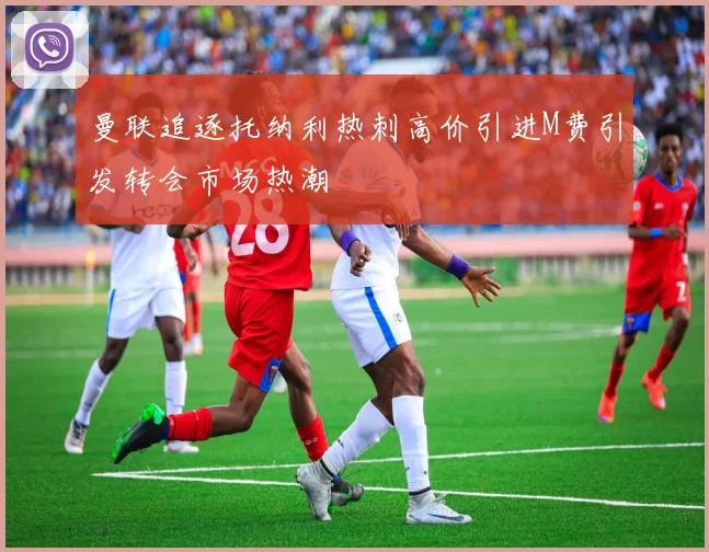 曼联追逐托纳利热刺高价引进M费引发转会市场热潮